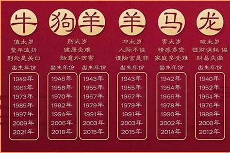 95年是什么年